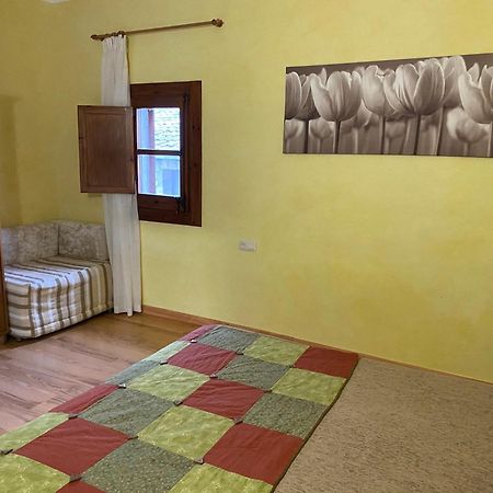 Mas La Riera Guest House Campdevanol Ngoại thất bức ảnh